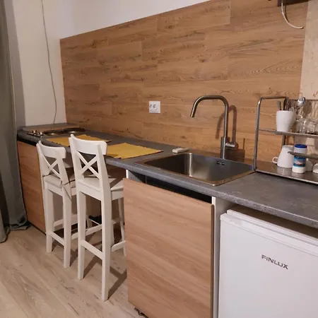 Piata Victoriei Sanad Apartment *