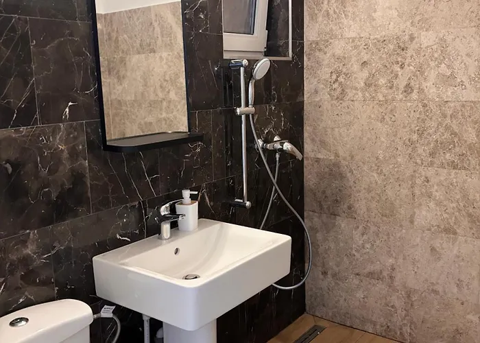 Apartamento Piata Victoriei Sanad