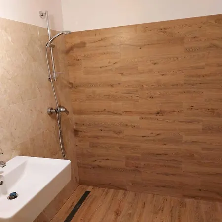 شقة Piata Victoriei Sanad